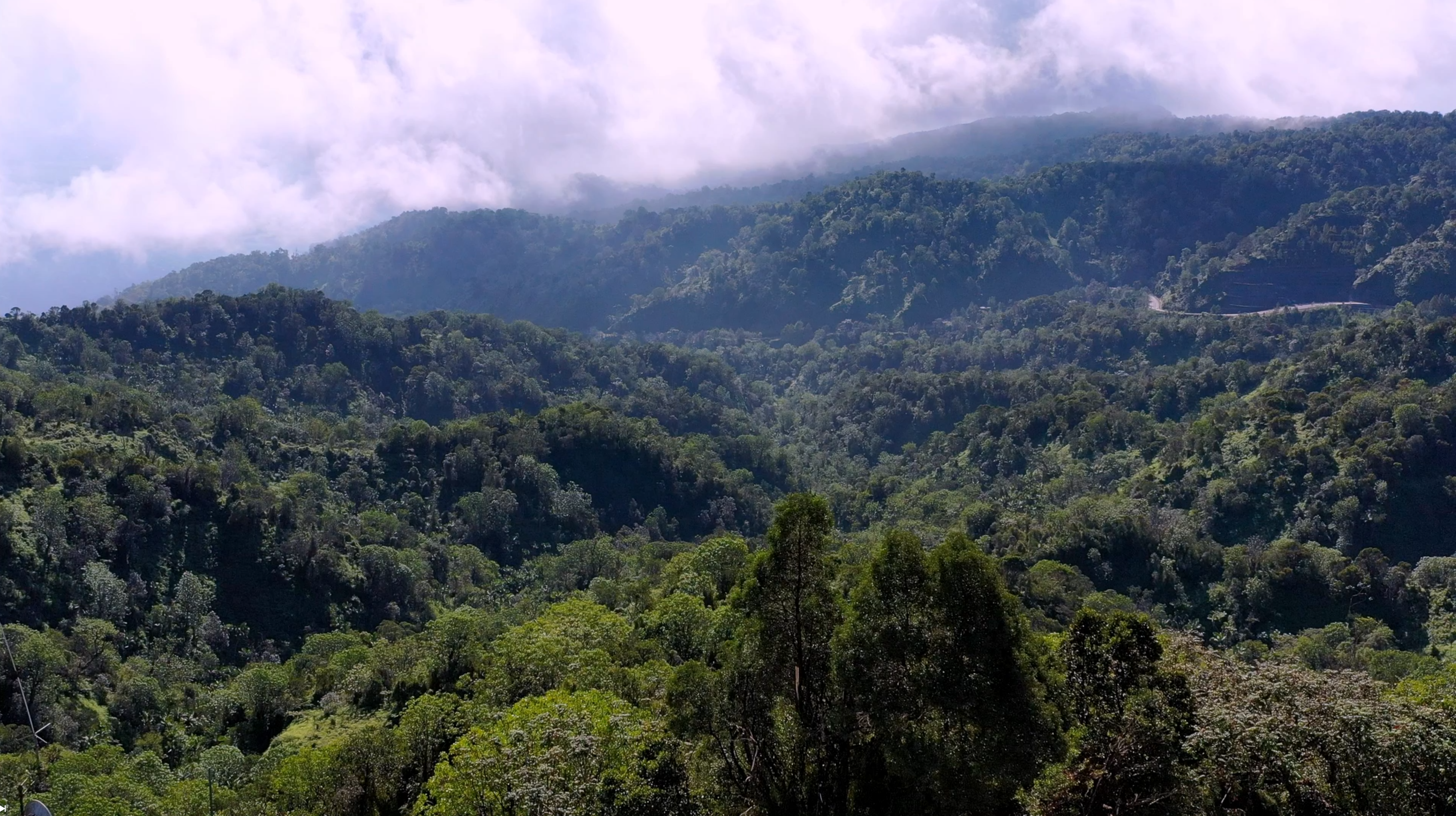 Medio Ambiente completa proceso de socialización proyecto Reserva de Biosfera Madre de las Aguas