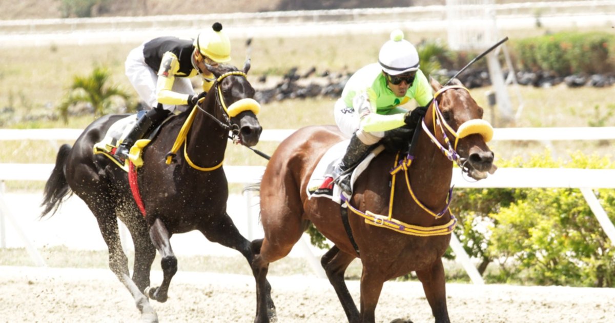 Datos de última hora para el Hipódromo Internacional La Rinconada 30-6-2024