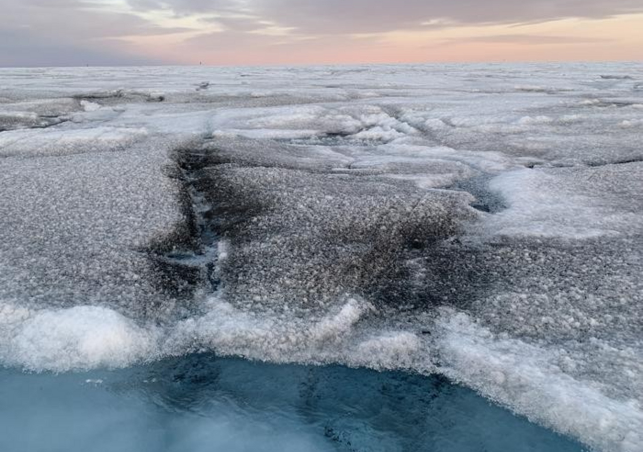 ¿podrían ayudar a combatir el derretimiento del hielo?