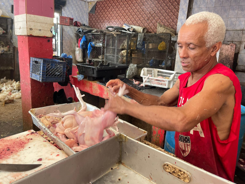 Aumento a $100 de la libra de carne de pollo causa alarma en el Cibao