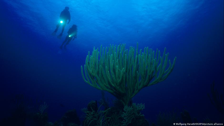 Qué hay detrás del misterio de la "ciudad sumergida" de Cuba